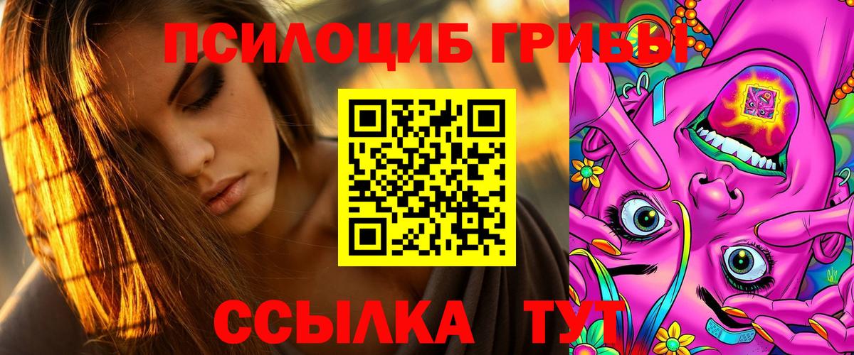 где купить наркоту  Вход с VPN  Киржач  Галлюциногенные грибы Psilocybe  Галлюциногенные грибы ЛСД 